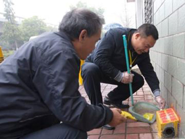 雙流家庭滅老鼠怎么預(yù)防